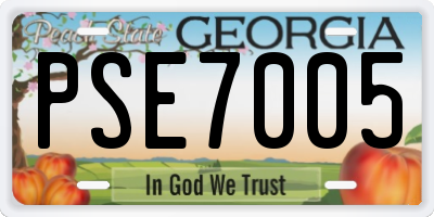 GA license plate PSE7005