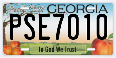 GA license plate PSE7010