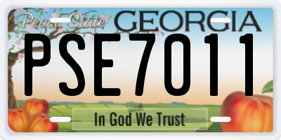 GA license plate PSE7011