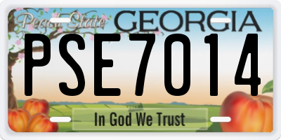 GA license plate PSE7014