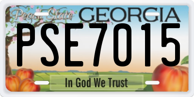 GA license plate PSE7015