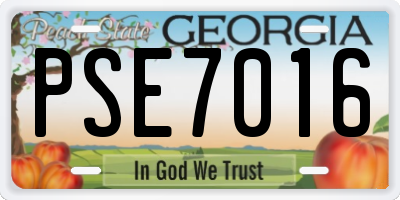 GA license plate PSE7016
