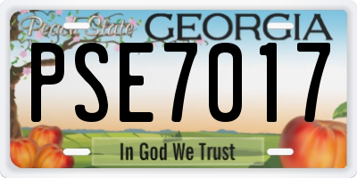 GA license plate PSE7017