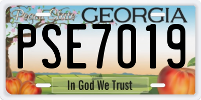 GA license plate PSE7019