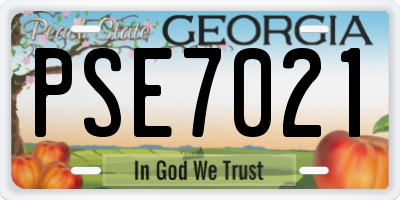 GA license plate PSE7021