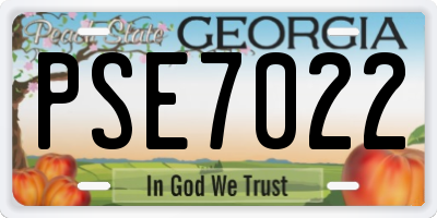 GA license plate PSE7022