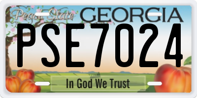 GA license plate PSE7024