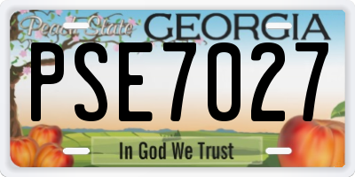 GA license plate PSE7027