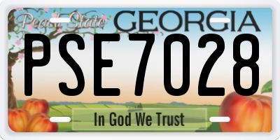 GA license plate PSE7028