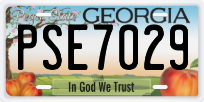GA license plate PSE7029