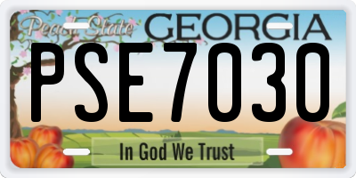 GA license plate PSE7030