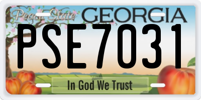 GA license plate PSE7031