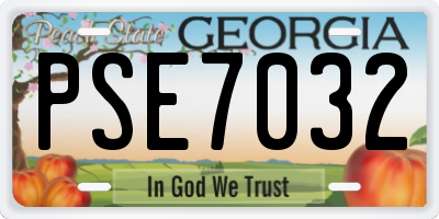GA license plate PSE7032