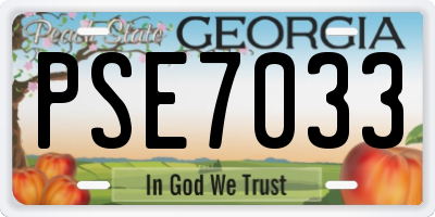 GA license plate PSE7033