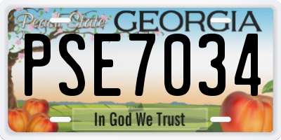GA license plate PSE7034