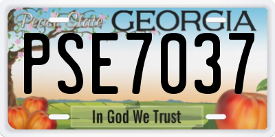 GA license plate PSE7037