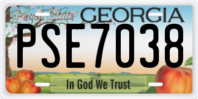 GA license plate PSE7038