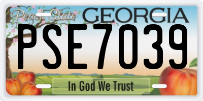 GA license plate PSE7039
