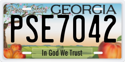 GA license plate PSE7042