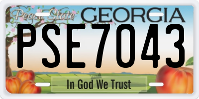 GA license plate PSE7043
