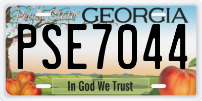 GA license plate PSE7044