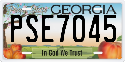 GA license plate PSE7045