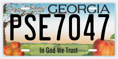 GA license plate PSE7047
