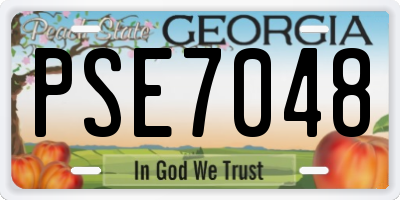 GA license plate PSE7048