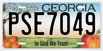 GA license plate PSE7049