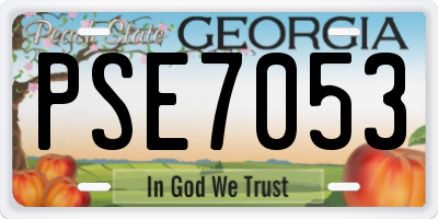 GA license plate PSE7053