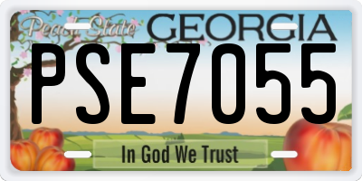 GA license plate PSE7055