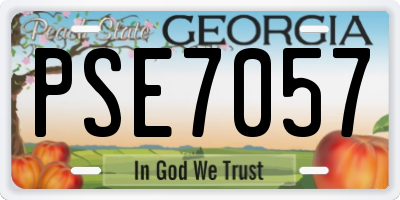 GA license plate PSE7057