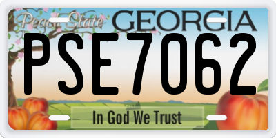 GA license plate PSE7062