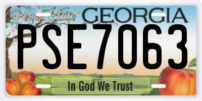 GA license plate PSE7063