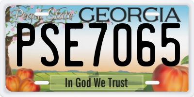 GA license plate PSE7065