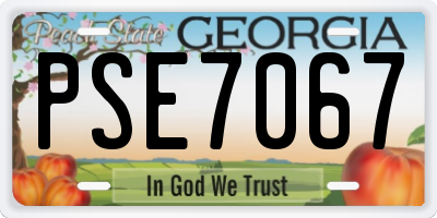 GA license plate PSE7067