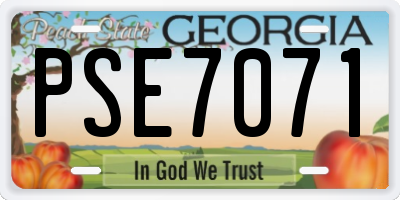 GA license plate PSE7071