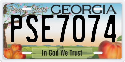 GA license plate PSE7074