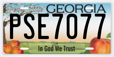 GA license plate PSE7077