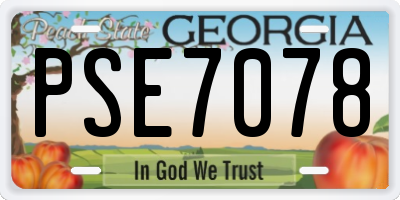 GA license plate PSE7078