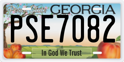 GA license plate PSE7082