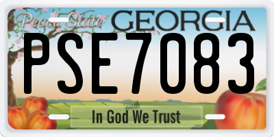 GA license plate PSE7083