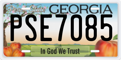 GA license plate PSE7085