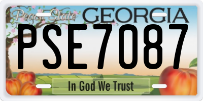 GA license plate PSE7087
