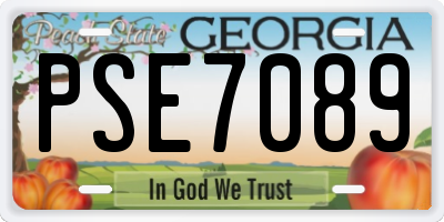 GA license plate PSE7089