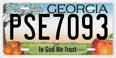 GA license plate PSE7093