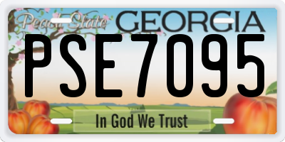GA license plate PSE7095