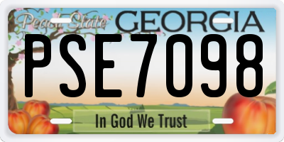 GA license plate PSE7098