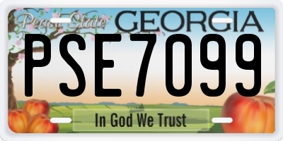 GA license plate PSE7099