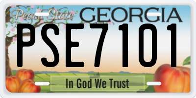 GA license plate PSE7101